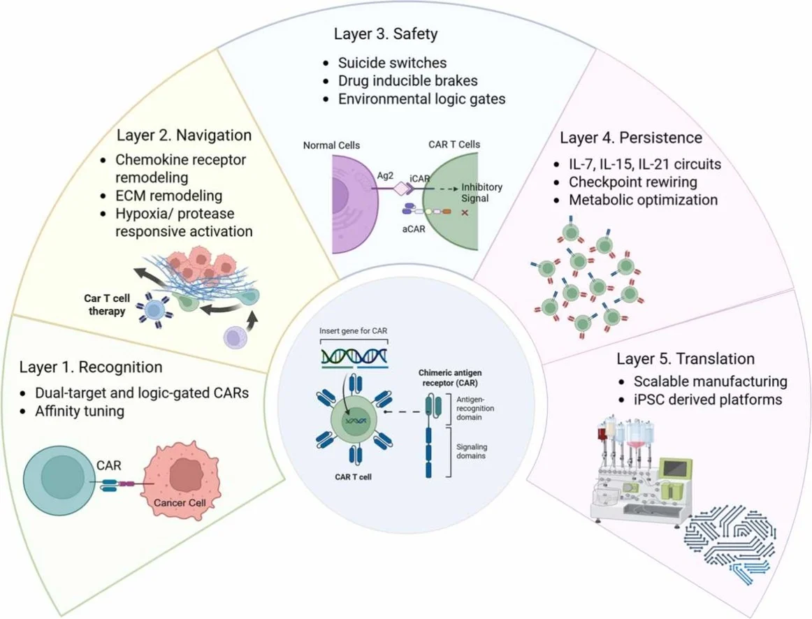 immuno-oncology