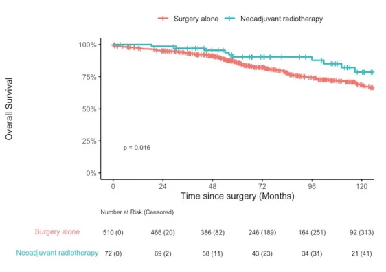 Neoadjuvant Radiotherapy for Primary Retroperitoneal Well-Differentiated Liposarcoma: New Hope for Patients 4 LIposarcoma - OncoDaily