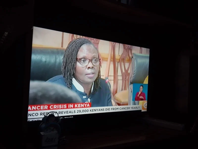 Prisca Githuka: How Lived and Learned Experience Creates Powerful Advocacy 2 Prisca Githuka