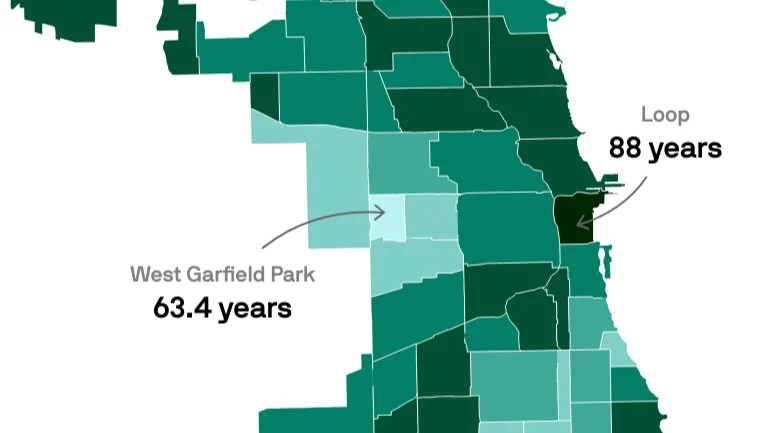 Shikha Jain։ Healthcare Outcomes are Rarely Random