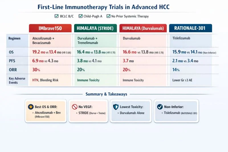 Immuno-Oncology