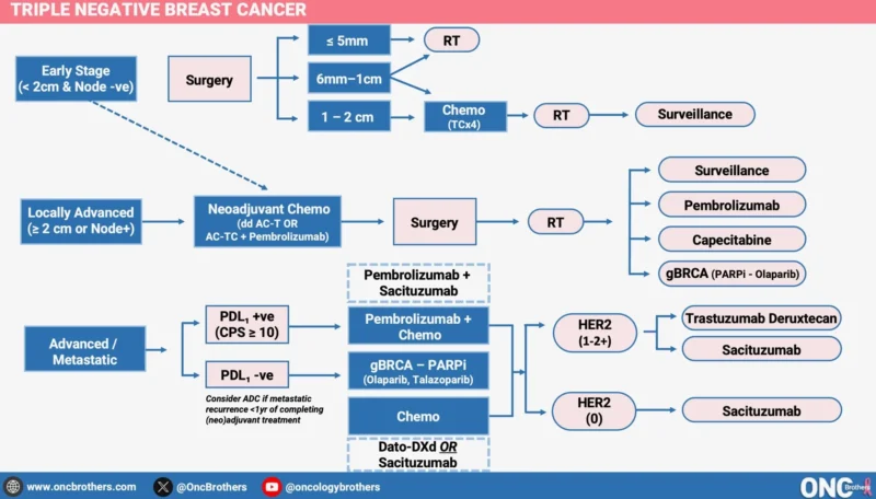 Rahul Gosain Reviews Treatment Strategies for Triple Negative Breast Cancer 2 Rahul Gosain