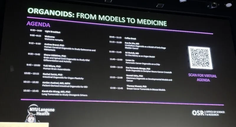 Anirban Maitra: Exploring Organoids from Models to Medicine at NYU Langone Health
