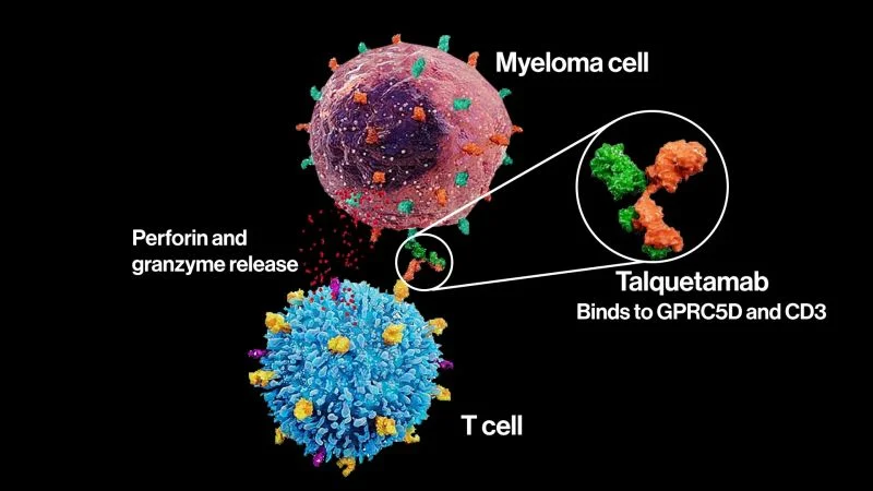 CARTITUDE-1 Trial as Milestone in Multiple Myeloma Immunotherapy - Icahn School of Medicine at Mount Sinai 2 CARTITUDE-1 Trial as Milestone in Multiple Myeloma Immunotherapy - Icahn School of Medicine at Mount Sinai