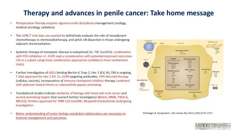 Guru Sonpavde: Penile Cancer Update at MaTOS2026