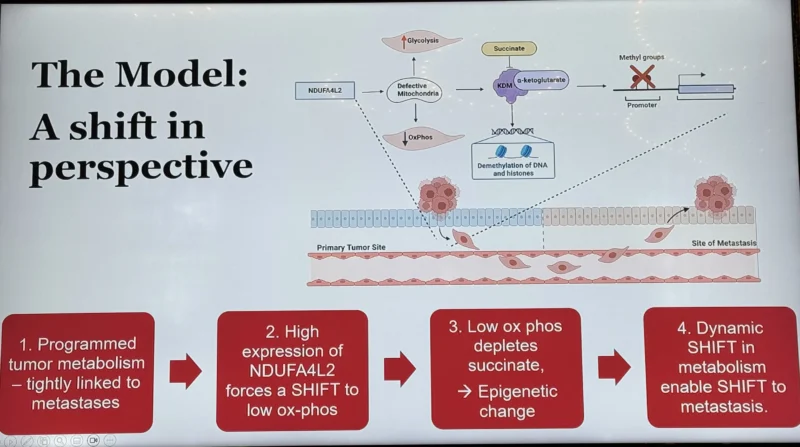 Katy Beckermann: Programmed Tumor Metabolism is Tightly Linked to Metastatic Potential in ccRCC