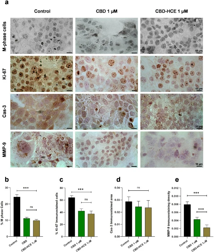 10 Must-Read Posts in Immuno-Oncology This Week