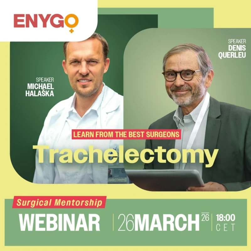 Ane Gerda Zahl Eriksson