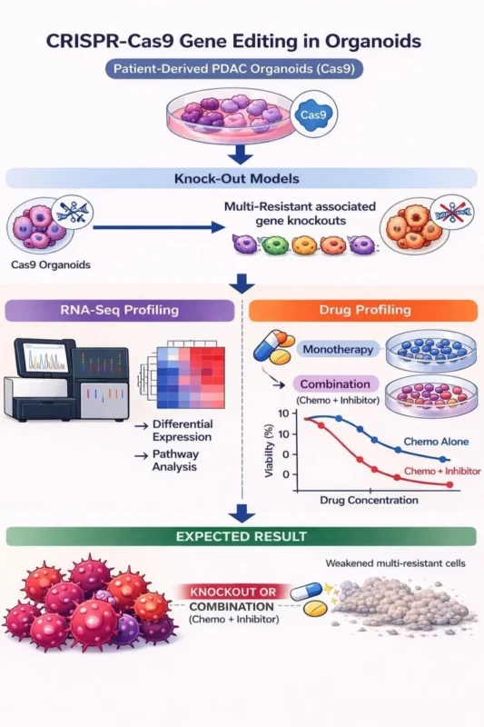10 Must-Read Posts In GI Oncology This Week 5 CRISPR-Cas9