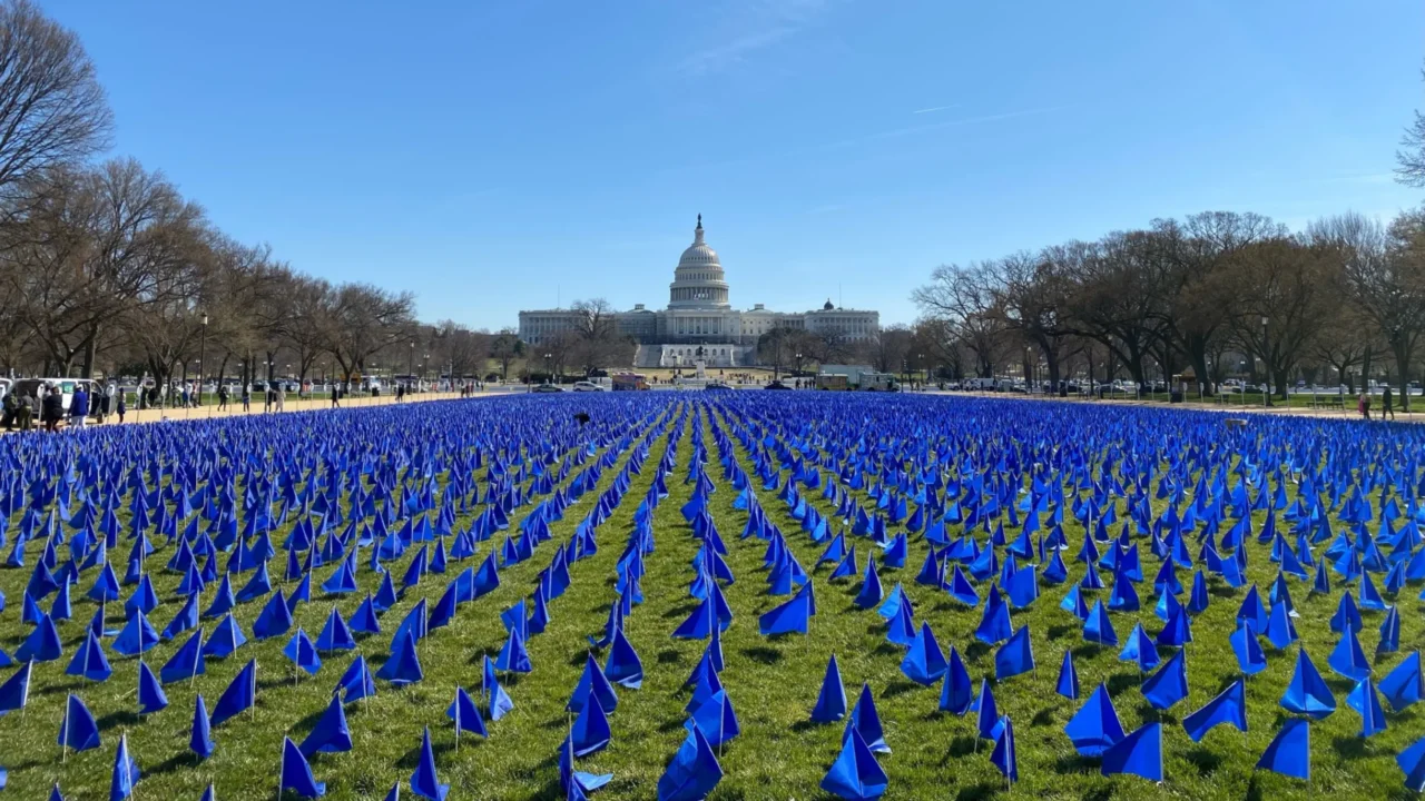 Highlighting Colorectal Cancer Toll with 27,000 Flags on National Mall – Agenus
