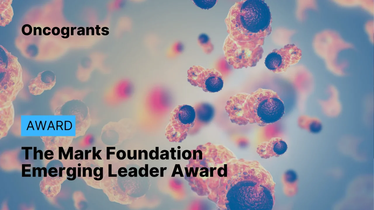 The Mark Foundation Emerging Leader Award (ELA) 2026 