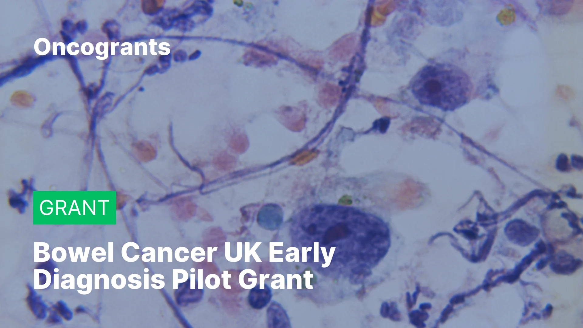 Bowel Cancer UK Early Diagnosis Pilot Grant 2026