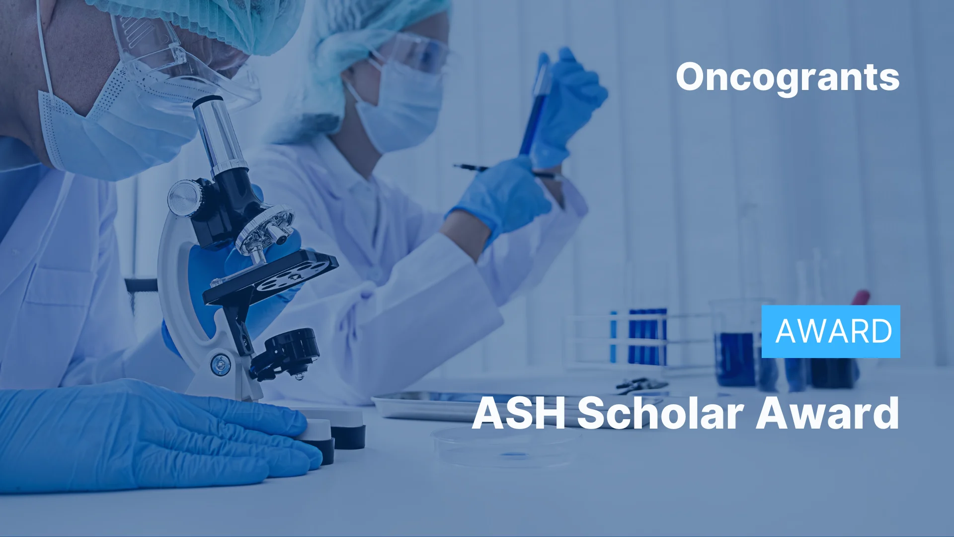 ASH Scholar Award (2027 Activation Cycle)