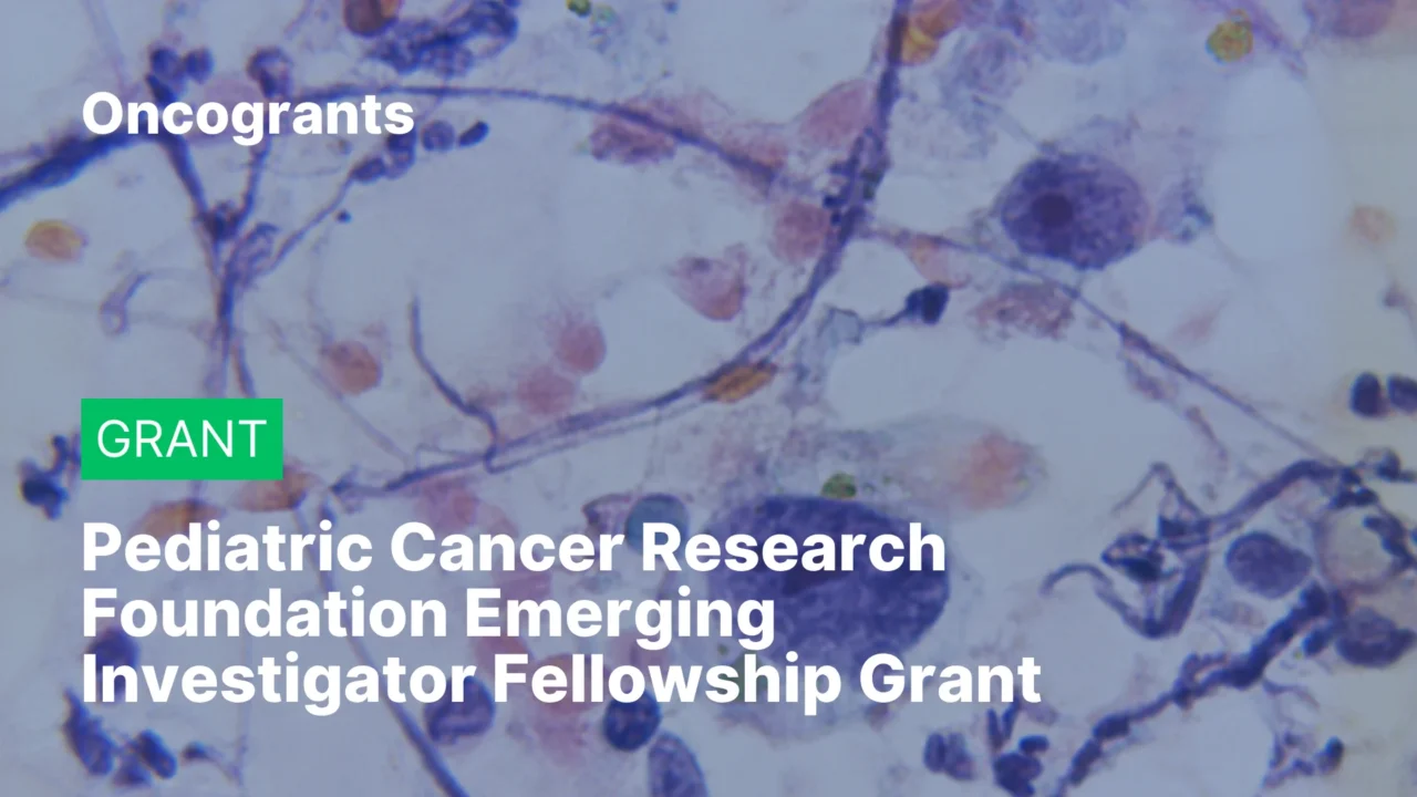 Pediatric Cancer Research Foundation Emerging Investigator Fellowship Grant (2026)