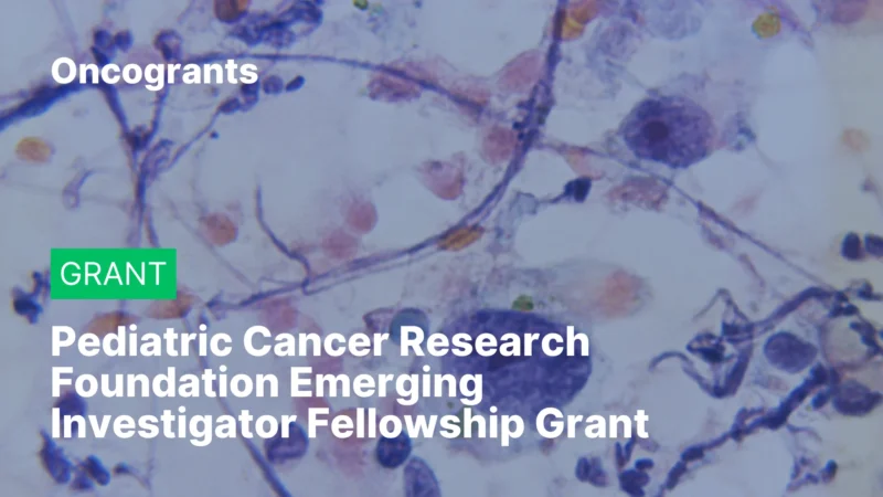 Pediatric Cancer Research Foundation Emerging Investigator Fellowship Grant (2026)