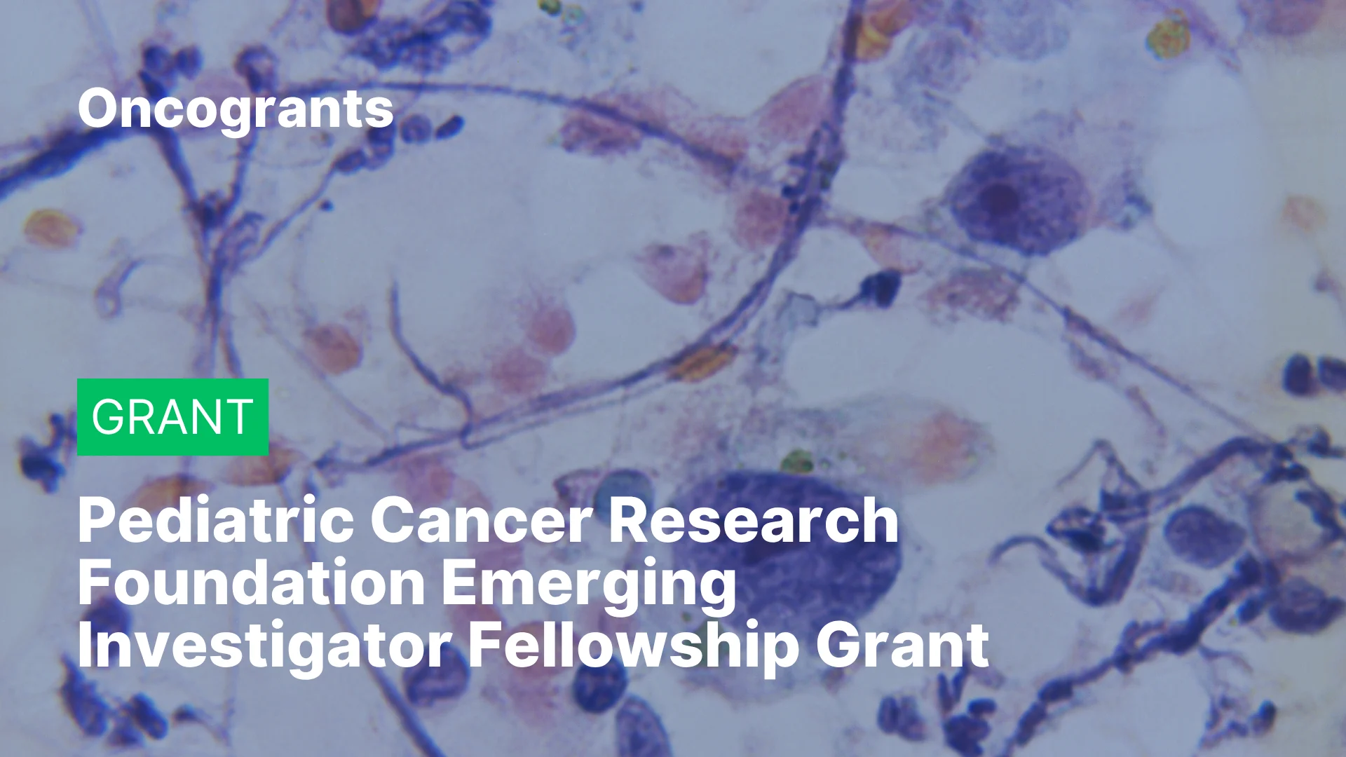 Pediatric Cancer Research Foundation Emerging Investigator Fellowship Grant (2026)