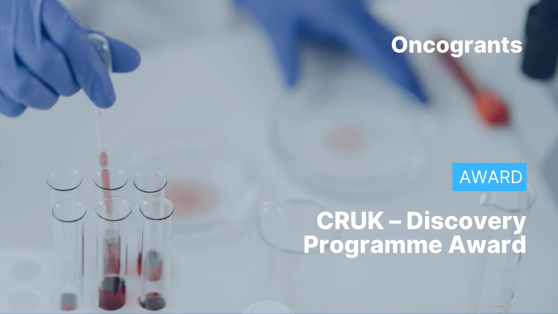 CRUK – Discovery Programme Award