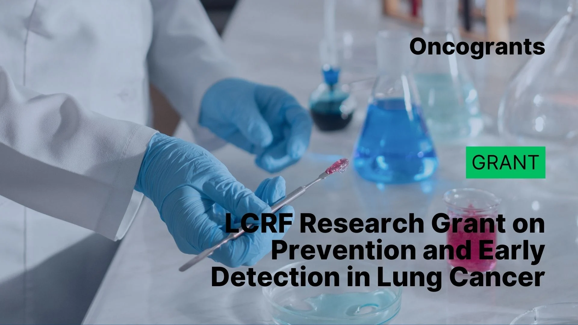 LCRF Research Grant on Prevention and Early Detection in Lung Cancer 2026