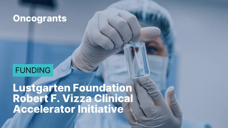 OncoGrants Weekly: Top 10 OncoGrants to Apply for in 2026: Deadlines from March to June 10 TNBC Foundation–AACR NextGen Grant for Transformative Cancer Research 2026