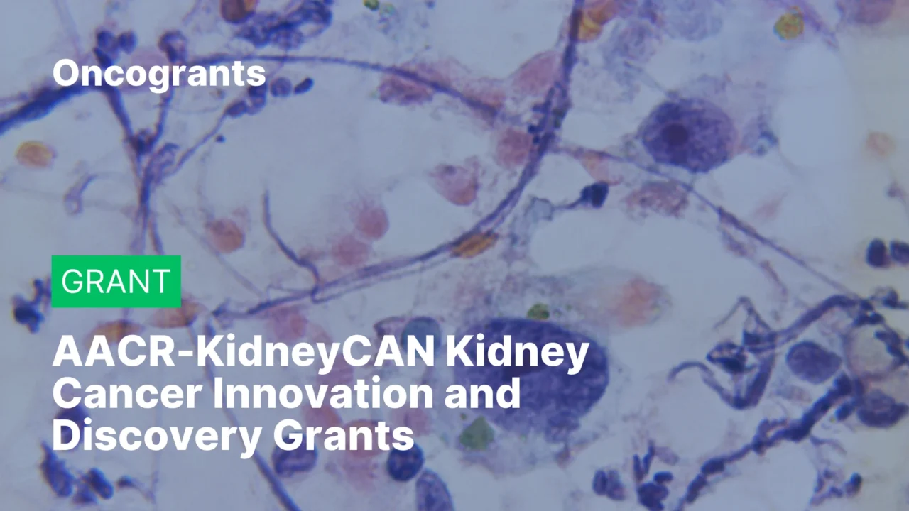 AACR-KidneyCAN Kidney Cancer Innovation and Discovery Grants 2026