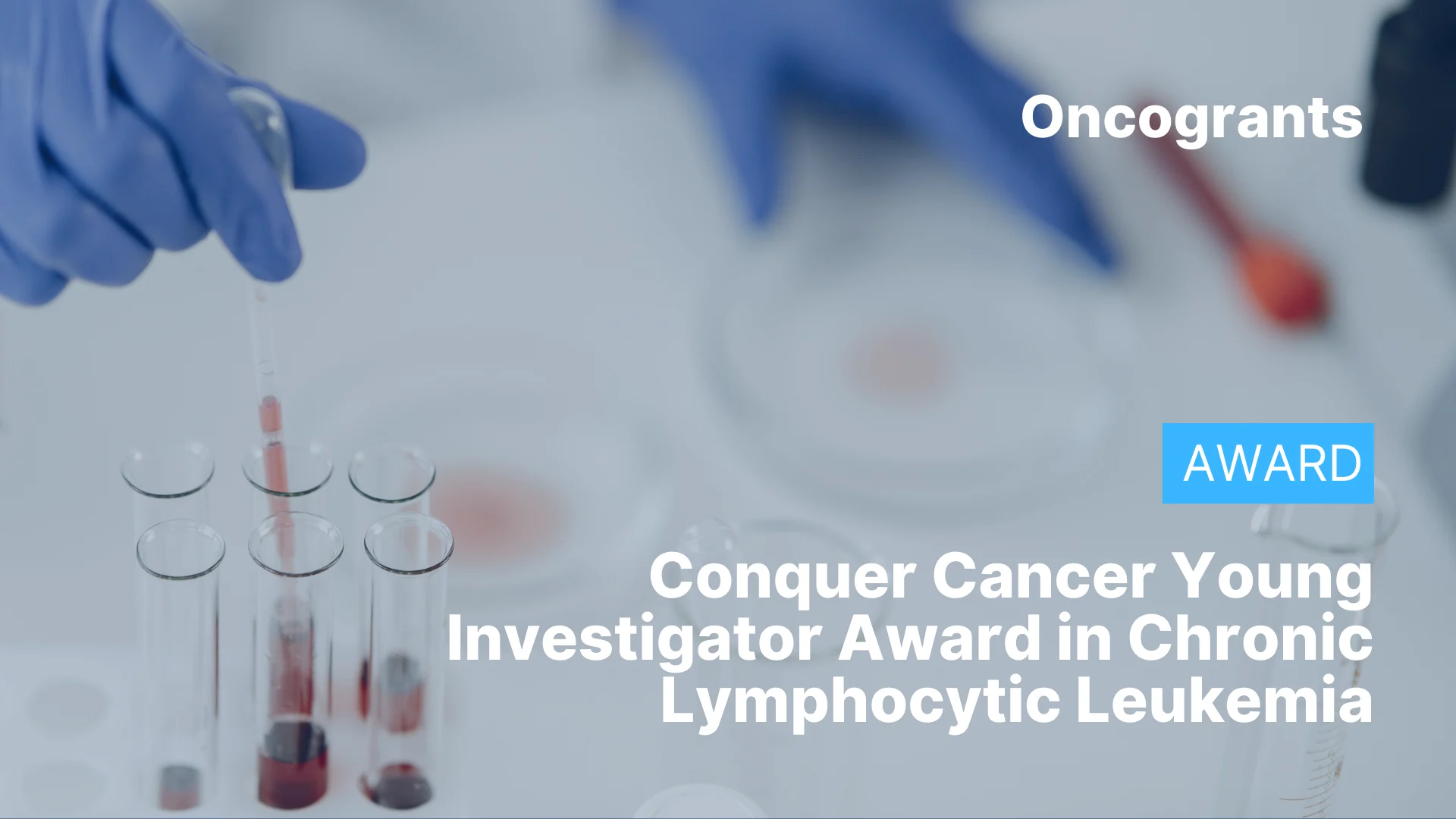 Conquer Cancer Young Investigator Award in Chronic Lymphocytic Leukemia 2026