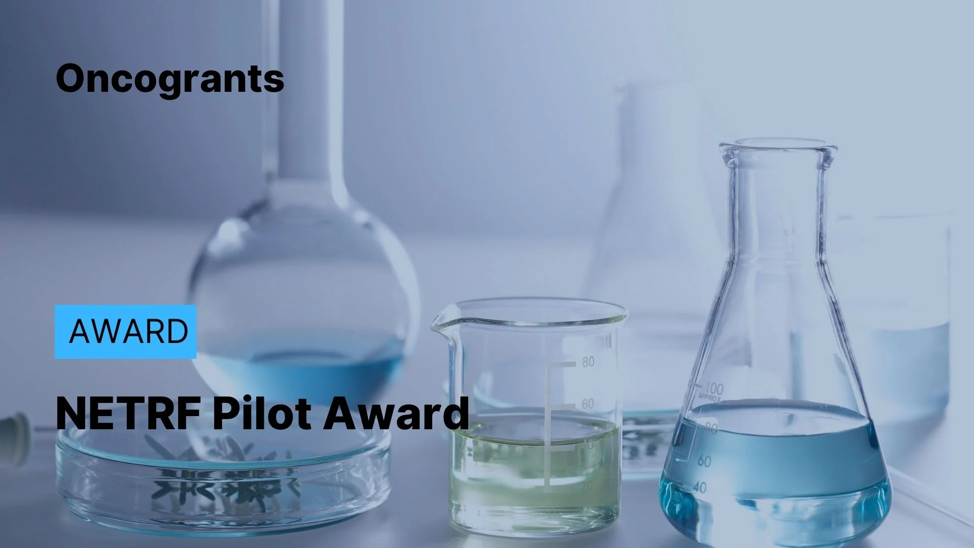 NETRF 2026 Pilot Award