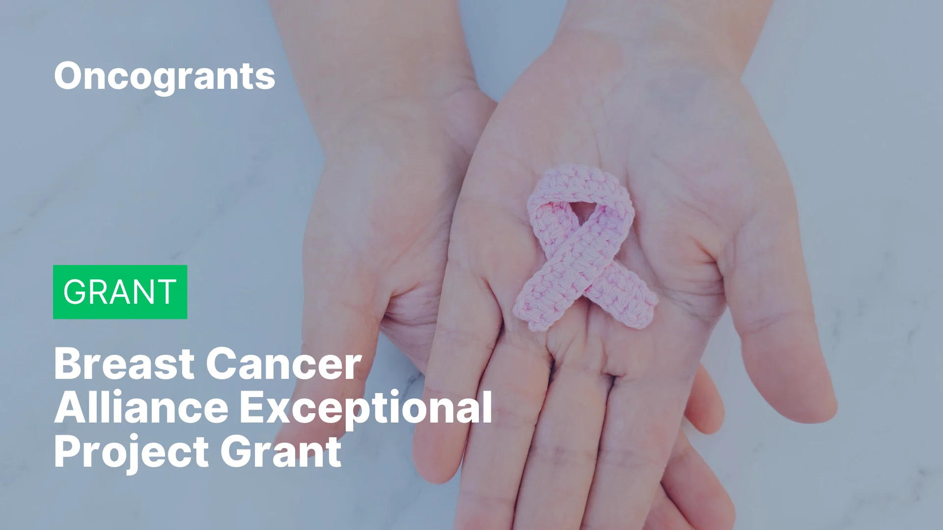 Breast Cancer Alliance Exceptional Project Grant 2027