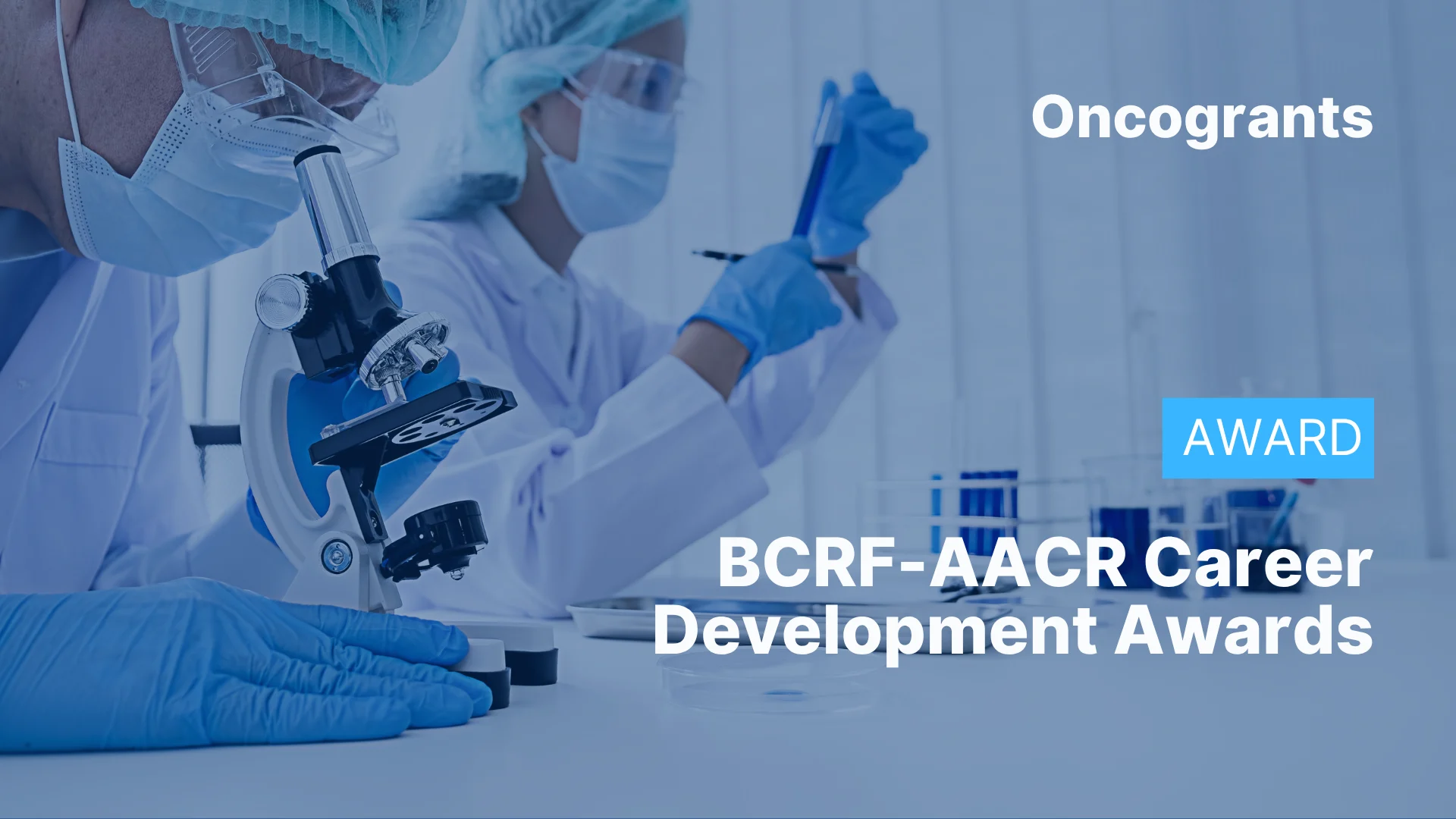 Breast Cancer Research Foundation-AACR Career Development Awards
