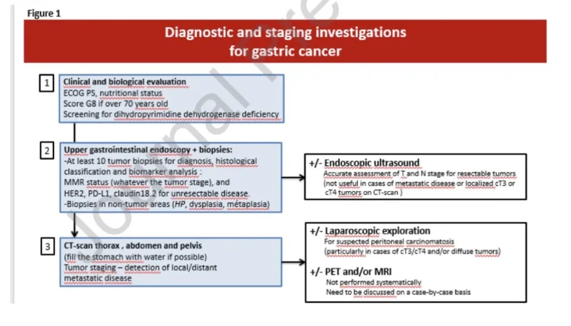 10 Must-Read Posts In GI Oncology This Week 6 French guide