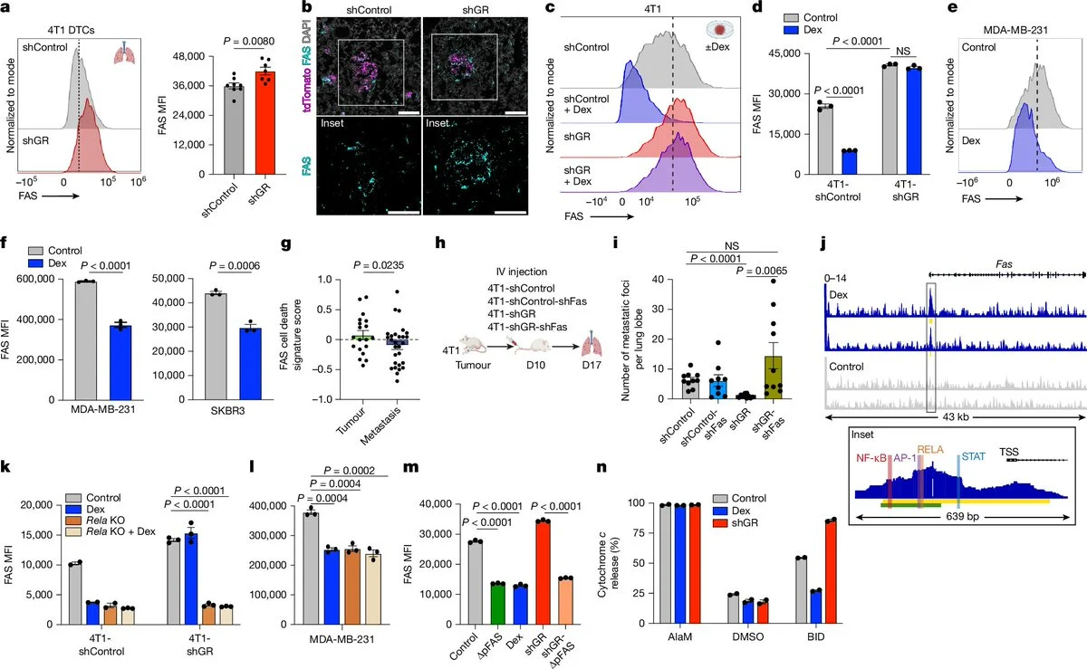 10 Must-Read Posts in Immuno-Oncology This Week
