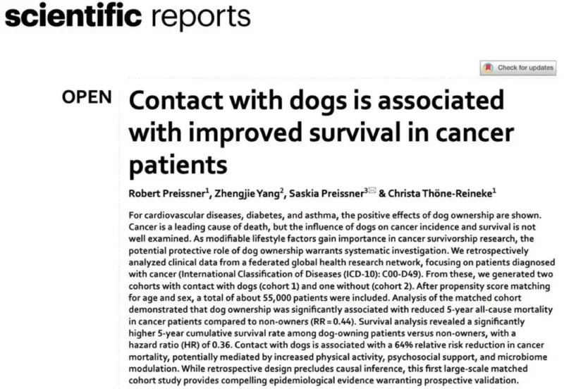 Mark Lewis: The Companionship of Man’s Best Friend Can Make a Real Difference for Cancer Patients