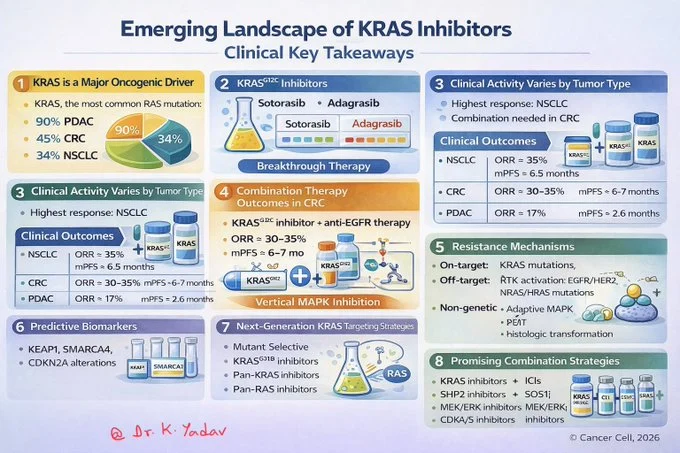 Must-Read Articles from Karamvir Yadav