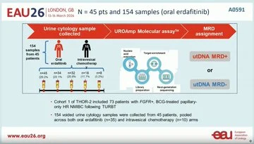 Sabine D. Brookman-May: Joost Boormans’ Excellent Summary of NMIBC and UTUC Updates from EAU26
