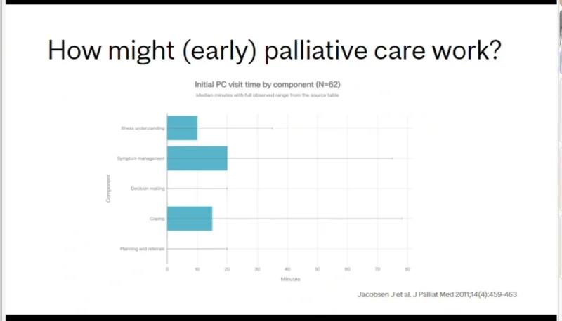 Cristiane D Bergerot