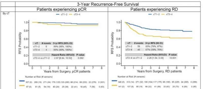 Aumilto Silva: Real-World Study in Early HER2+ Breast Cancer and TNBC After Neoadjuvant Therapy