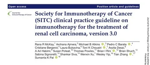 Cristiane Bergerot: SITC Guideline on IO for Kidney Cancer