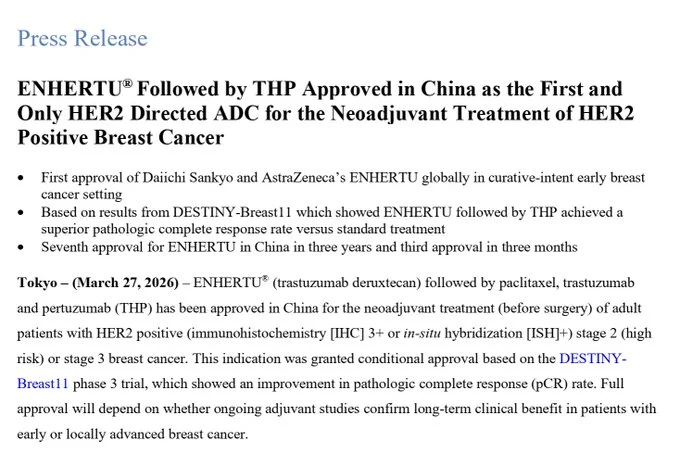 Raffaele Colombo: China First to Conditionally Approve T-DXd in Early Breast Cancer