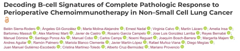 Alberto Cruz Bermúdez: Decoding B-cell Dynamics to Advance NSCLC Chemoimmunotherapy