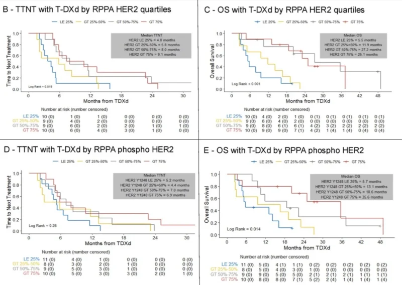 Trastuzumab Deruxtecan