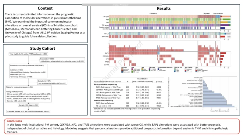 Molecular Alterations in Pleural Mesothelioma: New IASLC Data Reveal Prognostic Impact on Survival 2 Pleural Mesothelioma
