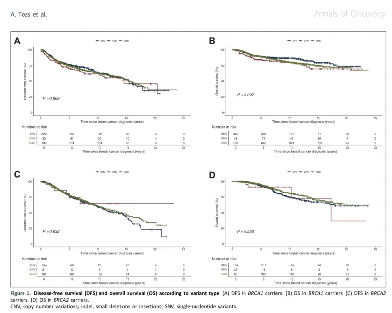 Not All BRCA Mutations Are Equal: How Variant Type and Location Shape Survival in Young Breast Cancer