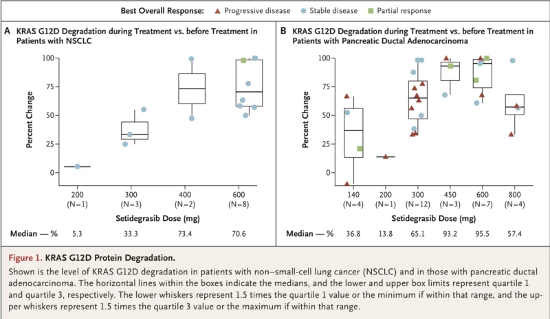 Setidegrasib in KRAS G12D-Mutant NSCLC and Pancreatic Cancer: A New Frontier Opens in Precision Oncology 2 Setidegrasib