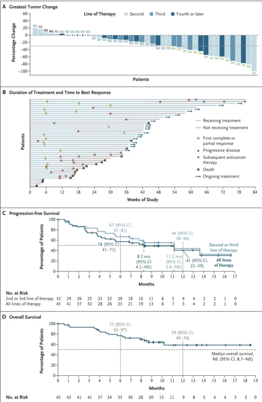 Setidegrasib in KRAS G12D-Mutant NSCLC and Pancreatic Cancer: A New Frontier Opens in Precision Oncology 4 Setidegrasib