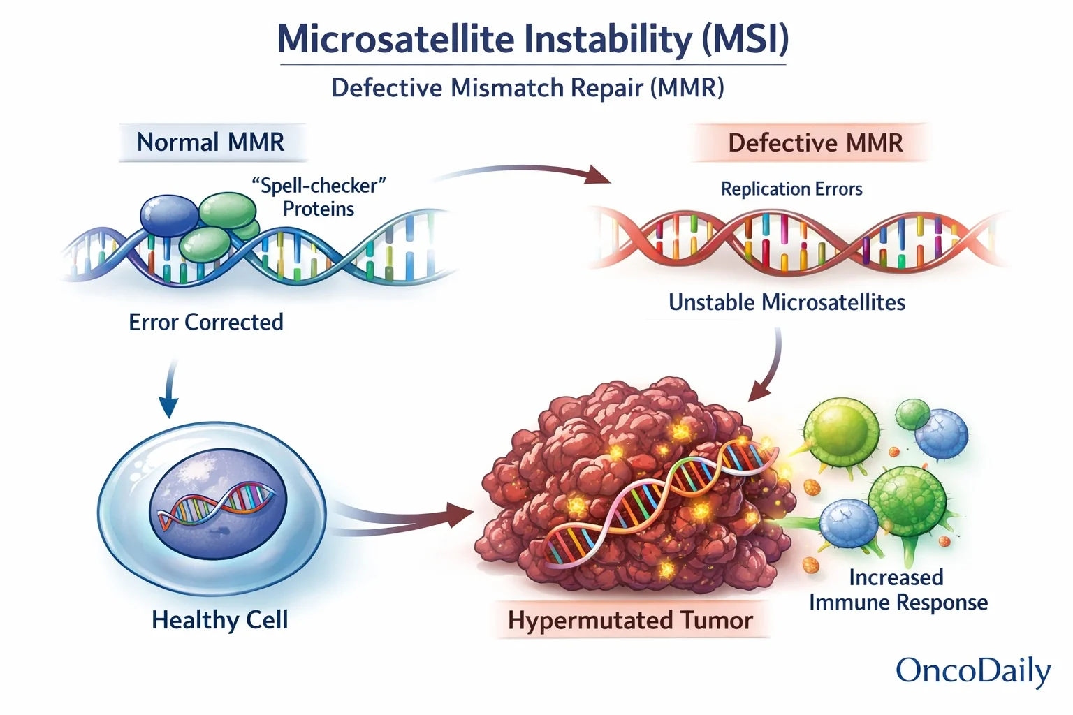 Microsatellite Instability (MSI)-The Biomarker That Changed Oncology Practice