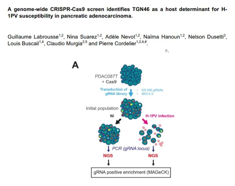10 Must-Read Posts In GI Oncology This Week 3 Nelson dusetti's article