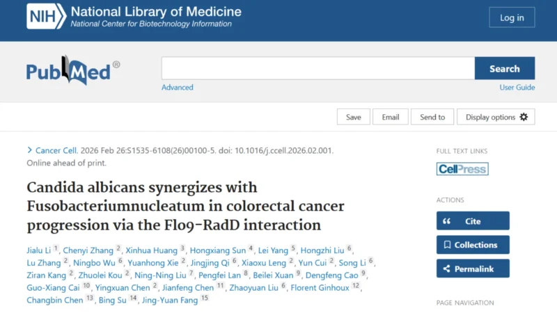 Rafik Fellague-Chebra: The Hidden Synergies Between Gut Pathobionts in Colorectal Cancer