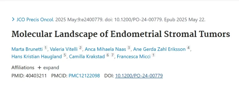 Ane Gerda Zahl Eriksson