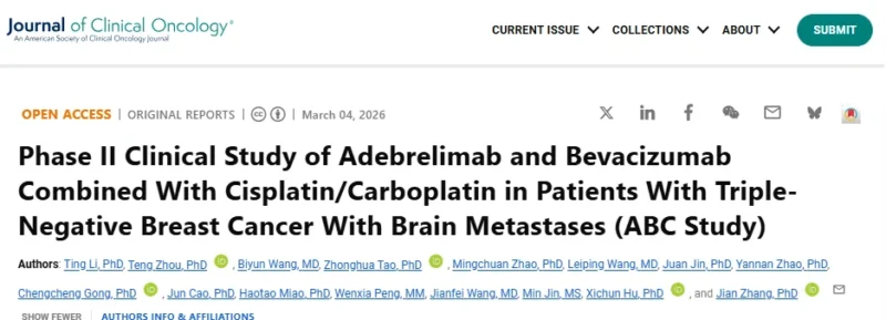 Yakup Ergün: Exploring New Therapy for TNBC Brain Metastases