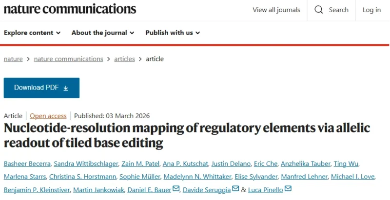 Sandra Wittibschlager: My First PhD Paper Published in Nature Communications