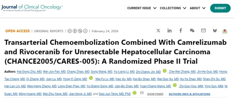 Ahmet Dirican: A New Evolution in TACE-Based Therapies in HCC